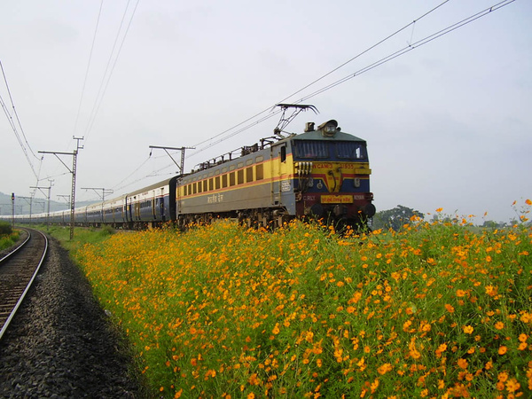 Kalyan, WCAM-3, 21935, Indian Railways, Indian, Railways, India, Railway, IRFCA, loco, locomotive, engine, trains, train engine