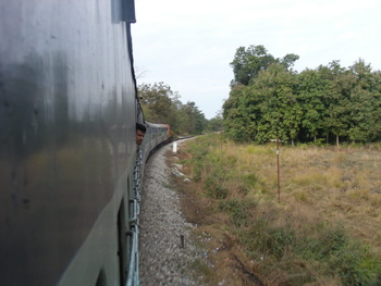 Forest was never so thin: This guy got so concious of obstructing my view that he later switched to a coach behind mine. 