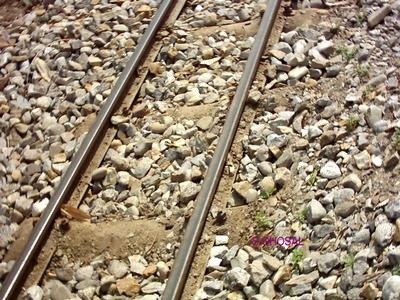 new_track_dhr_Mar03.jpg