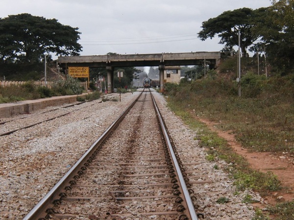 WP run at Bangalore, August 2002