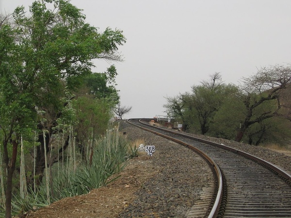 scene5_SHIV_ALE_11june2005.jpg