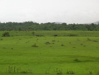 view_from_train.jpg