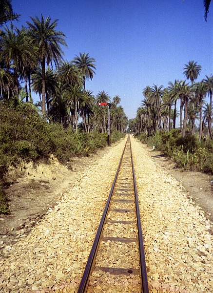 3465_Gwalior_NG_04.jpg