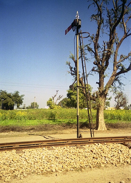 3465_Gwalior_NG_12.jpg