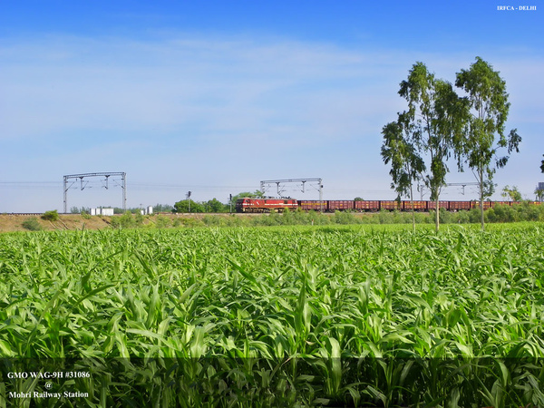 Gomoh, WAG-9, 31086, Indian Railways, Indian, Railways, India, Railway, IRFCA, loco, locomotive, engine, trains, train engine