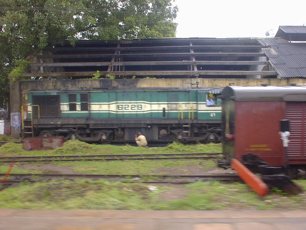 Golden Rock, YDM-4, 6229, Indian Railways, Indian, Railways, India, Railway, IRFCA, loco, locomotive, engine, trains, train engine