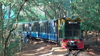 The toy train accelerates from the beautiful rain forests of Aman Lodge station with a mixture of brand new and old NG coaches. 