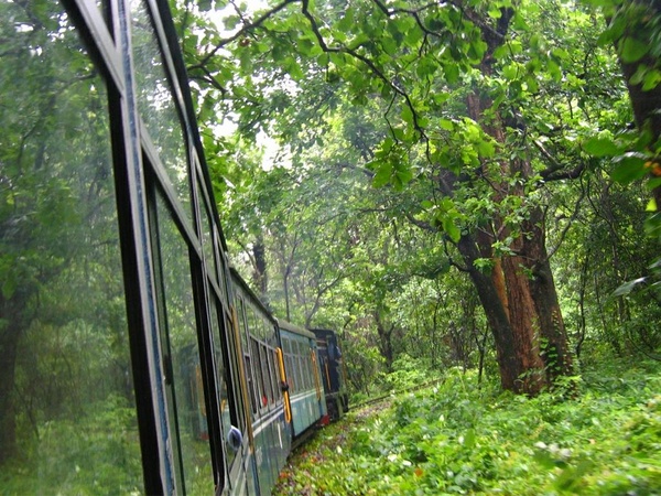 Tindharia (Siliguri), NDM-6, 605, Indian Railways, Indian, Railways, India, Railway, IRFCA, loco, locomotive, engine, trains, train engine