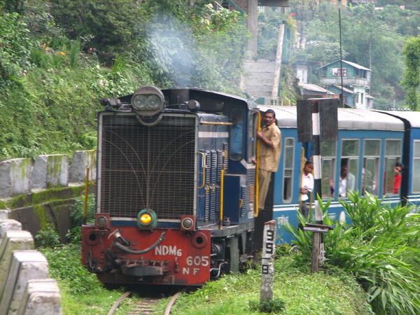 Tindharia (Siliguri), NDM-6, 605, Indian Railways, Indian, Railways, India, Railway, IRFCA, loco, locomotive, engine, trains, train engine
