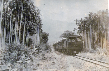Train-on-the-Nilagiri's