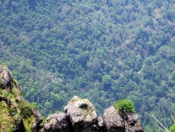 A view from Dolphins nose point in Coonoor