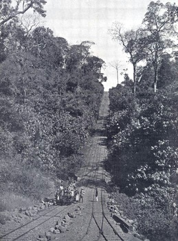 Incline in Cochin State Forest Tramway