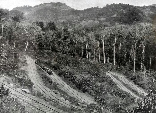 Switchback Zig Zags in Cochin State Forest Tramway