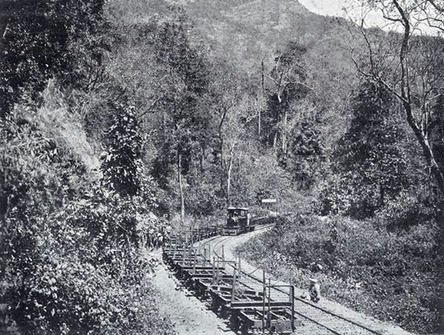 Siding en route in Cochin State Forest Tramway