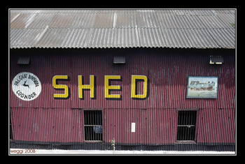 coonoor-the-shed