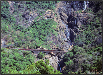 crossing-dudhsagar-falls2