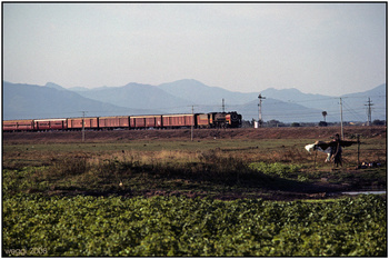 landscape-and-train