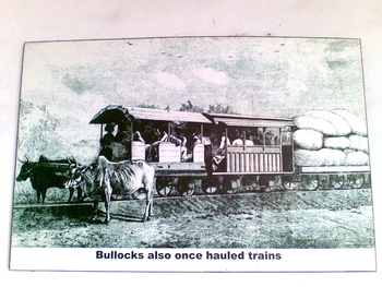 bullocks_train