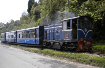 Darjeeling Himalayan Railways 2010