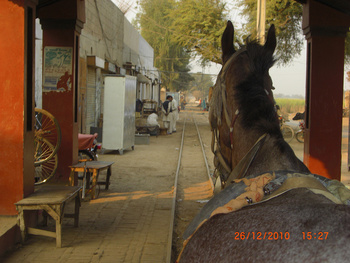 horse-tram-10