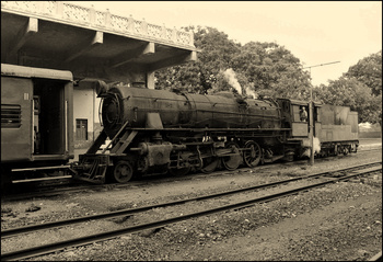 morvi-train-2b