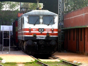 wap5_at_the_secondary_trip_shed.jpg