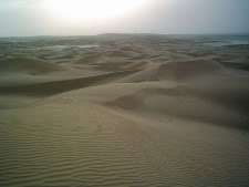 'Do-reg' sand dunes