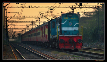 The Mahaparinirvan Express