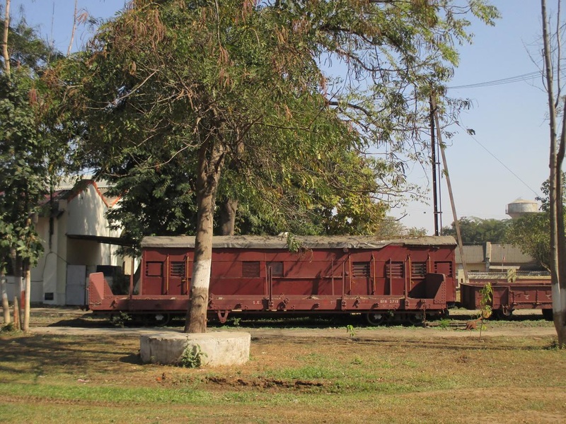 Carriage under tree