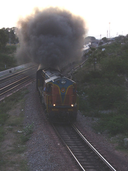 P9091583b
