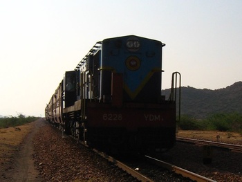 IMG_1505_crop