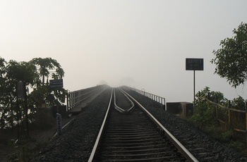 Fog_Savitri River_2007_02_14