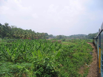 IMG_0161