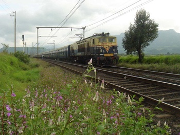Koyna Exp surrounded by flowers at Shelu