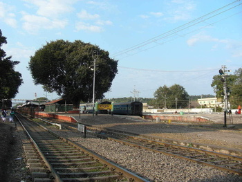 Picturesque Hardwar Station: Me walking over ballast to Pf#1 to buy tickets for my journey to DDN.  Not sure which train is comi