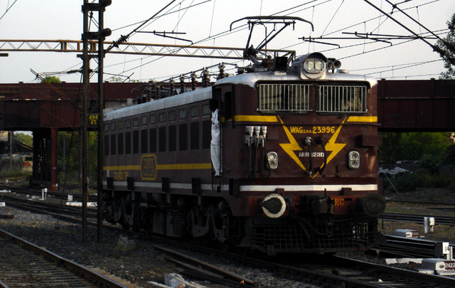 wag5_002.jpg
