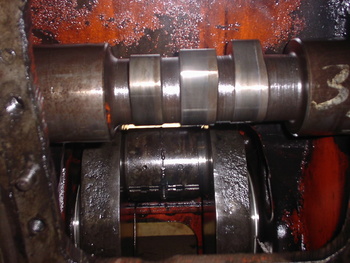 SANY0936.jpg