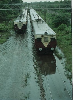 emus_perambur_Nov01.jpg