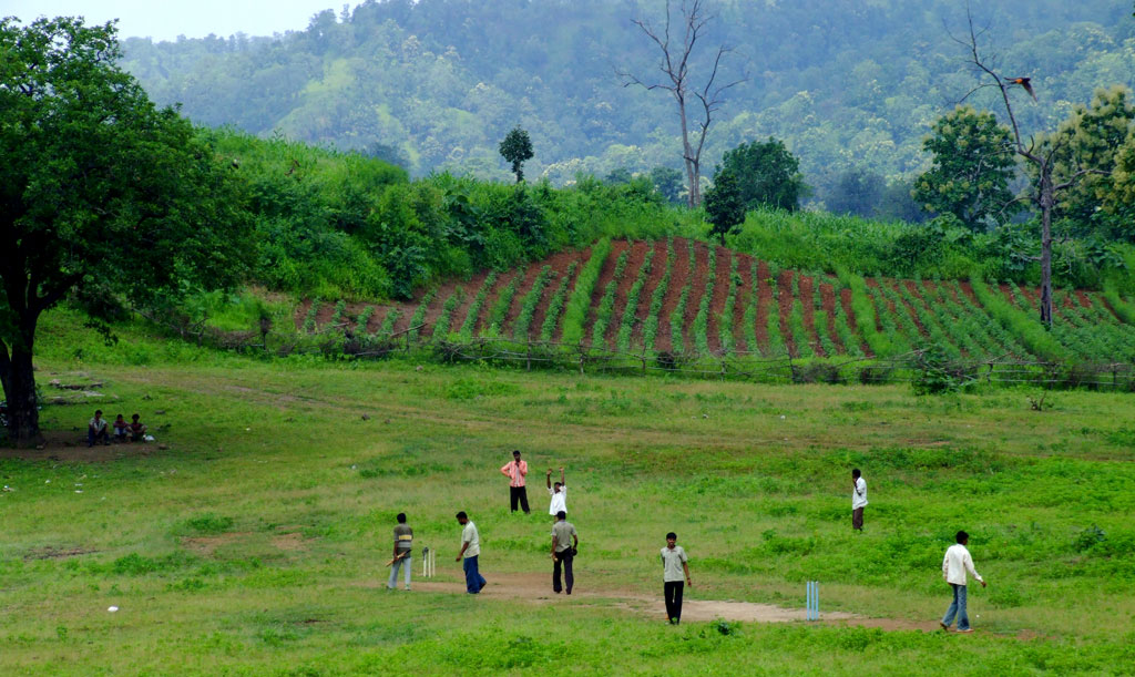cricket