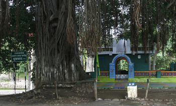 dargah