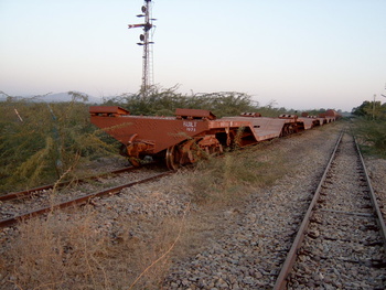 flat_cars_at_the_disused_nsd_station_old.jpg