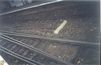 tracks.jpg