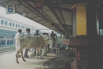 varanasi_1.jpg