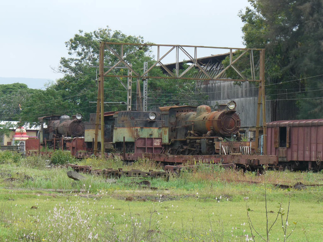 P1040354a