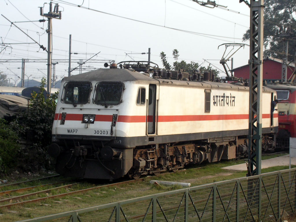 GMO_WAP7_30203_NDLS.jpg