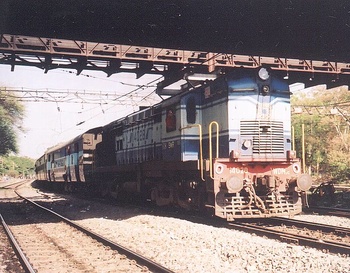 wdm2_baldie_14028_Apr03.jpg
