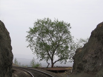 scene3_SHIV_ALE_11june2005.jpg