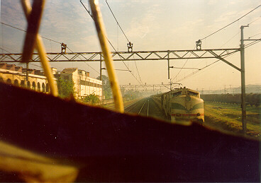 WCM1.jpg