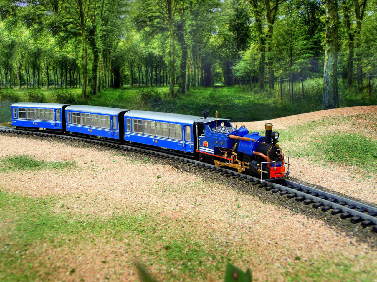 Darjeeling Himalayan Railway P1040422