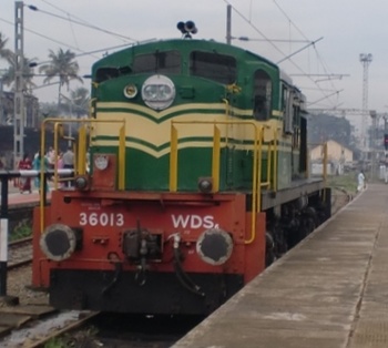 36013 WDS